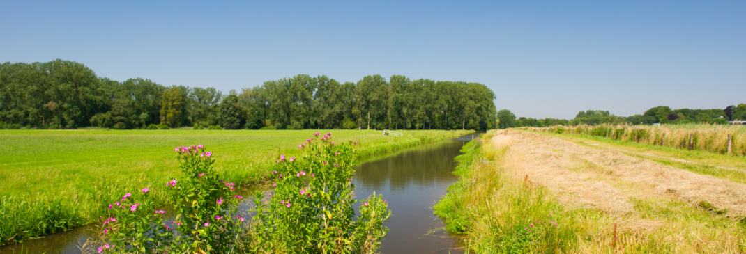 Rijden in en rond Zeist